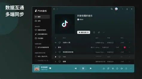 汽水音乐设置